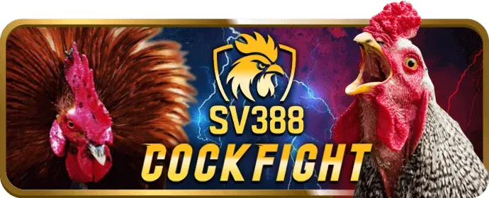 Bàn chơi Baccarat với chiến lược cược Banker